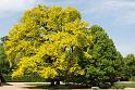 2009-04-28, Pillnitz (5)